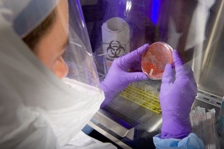 Photo of researchers holding up a petri dish