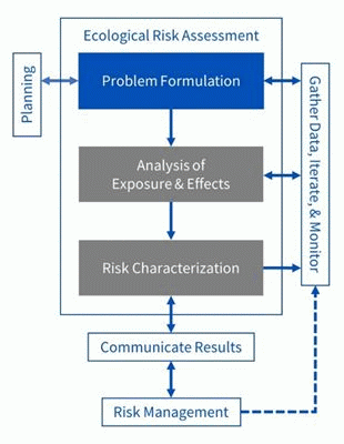 This is a diagram of the 3-phase Ecological Risk Assessment Process, highlighting Analysis (phase 2) which is to provide the ingredients necessary for determining or predicting ecological responses to stressors under exposure conditions of interest.