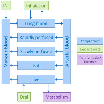 Complex PBPK model adapted from pg 13 of 1,4-Dioxane IRIS (U.S. EPA 2010).