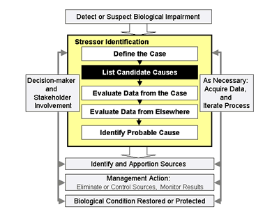 Fig 2-1. Steps to Stressor Identification. This highlights step 2, list candidate causes.