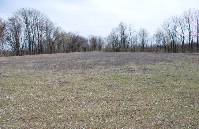 View of upper Locust Street pile plateau at Ambler Asbestos site