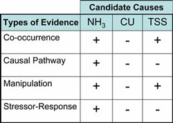 Table 5-6. This chart depicts scores for several types of evidence across a few candidate causes. Evidence for NH3 is consistently supporting, evidence for CU is consistently weakening and evidence for TSS is inconsistent.