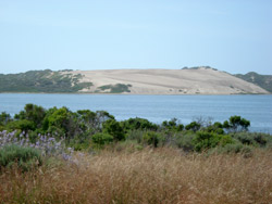 Estuary Photograph