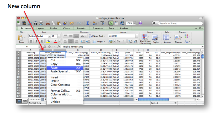 Image displaying adding a new column in Excel