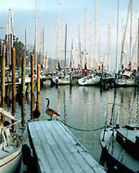 boats and marina