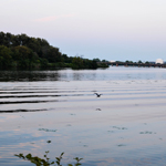 Mystic River Watershed (MA)