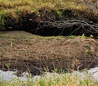 Photo showing erosion on a bank and a sand bar near the edge of a stream.