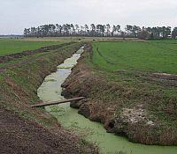 This photo illustrates a bright green color in a stream that is due to precipitates from turf field drainage.