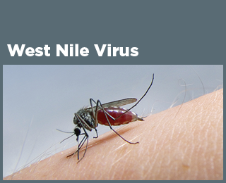 West Nile Virus