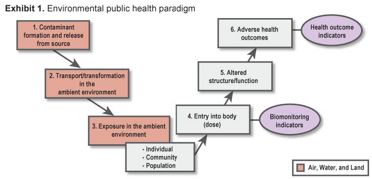 Exhibit 1. This exhibit shows the series of events that provide the conceptual basis for understanding and evaluating environmental health. For adverse health effects such as clinical disease or death to occur, a contaminant must first be released from its source; second, reach human receptors via air, water, or land; third, enter the human body via inhalation, ingestion, or skin contact; and fourth, be present in the body at sufficient doses to cause biological changes that may ultimately result in an adverse health effect. The Air, Water, and Land sections provide indicators relevant to the first three segments of this paradigm. The Human Exposure and Health section provides indicators based on data from individuals, communities, or populations that are relevant to the subsequent segments. Health and exposure indicators include biomonitoring indicators, which are relevant to entry of contaminants into the human body, and health outcome indicators, which are relevant to the adverse health effects experienced by humans.