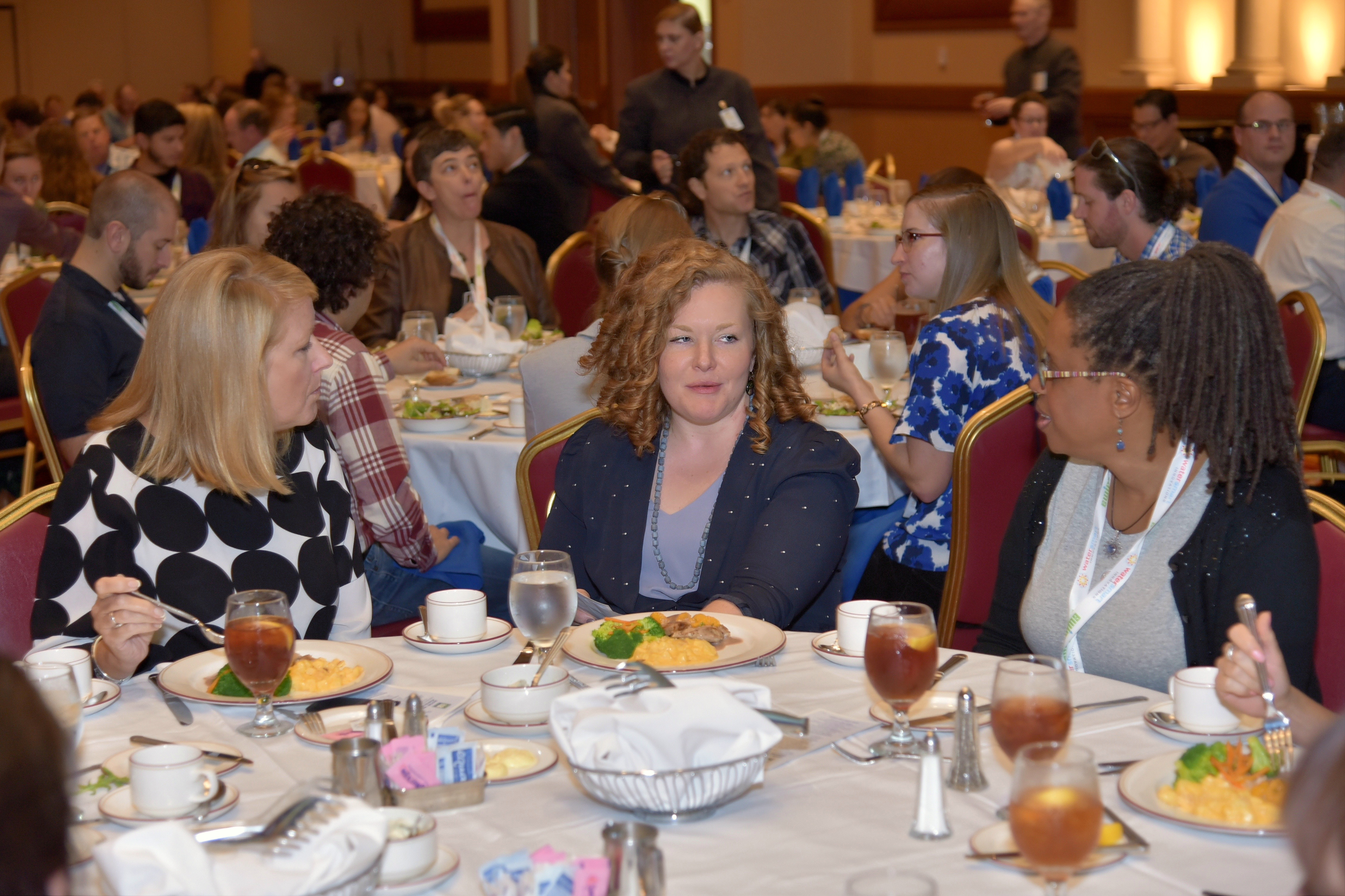 2018 WaterSense Awards Luncheon