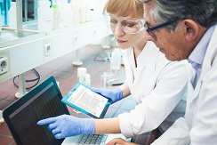 Researchers reviewing data on a laptop