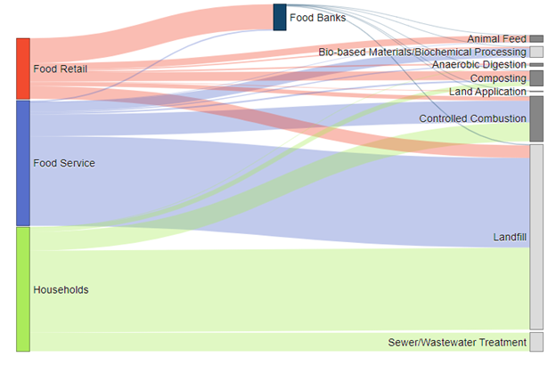 Visualization of wasted food generation and management flows in 2019