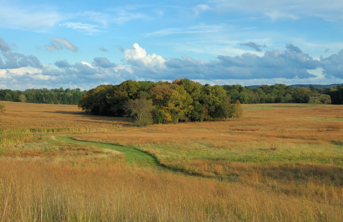 Grand Parade Field