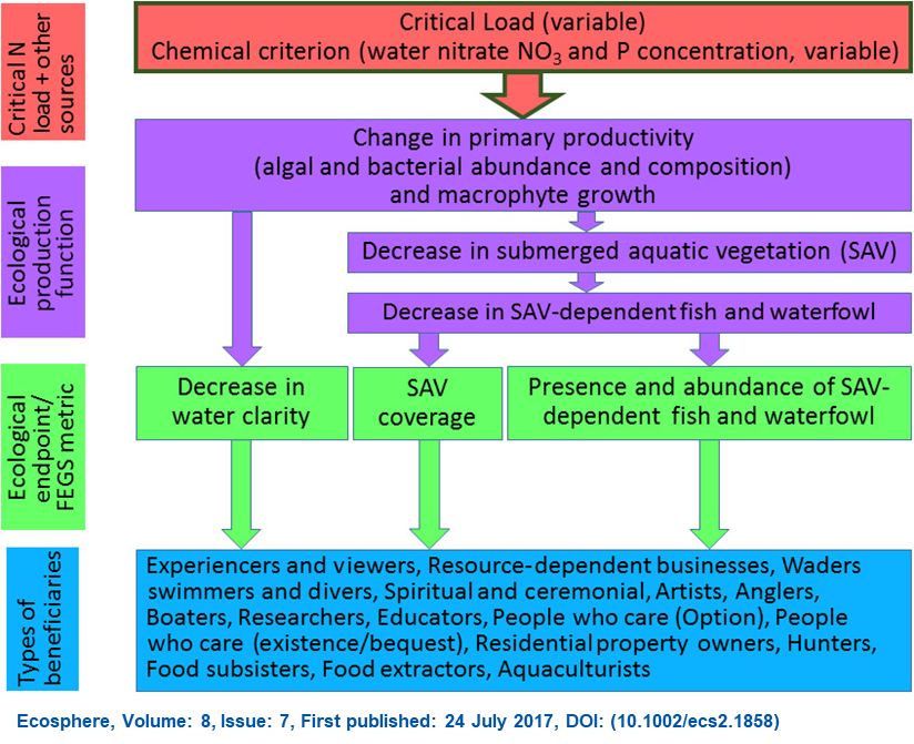 Conceptual model for Nitrogen loading in freshwater from Rhodes et al. 2017