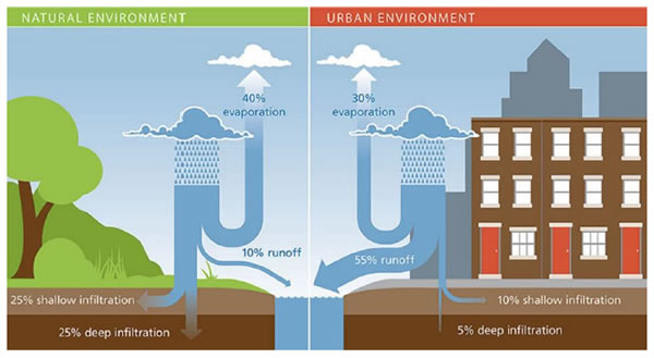 Impact of development on natural hydrology. Source: City of Detroit Water and Sewerage Department