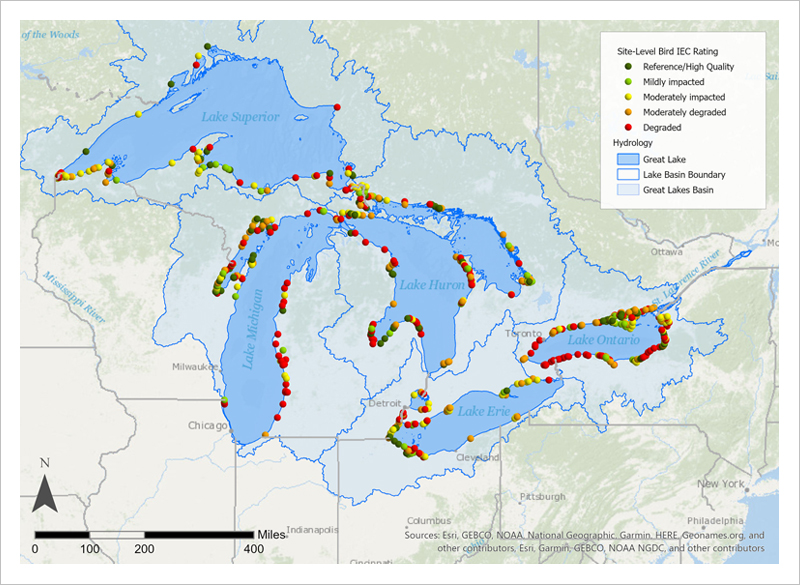 Map of the Site-Level Bird IBI Rating