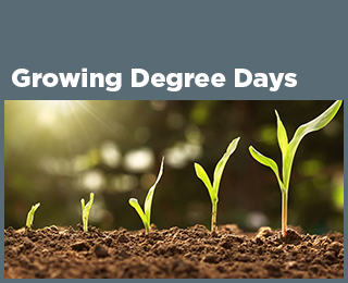 Growing Degree Days