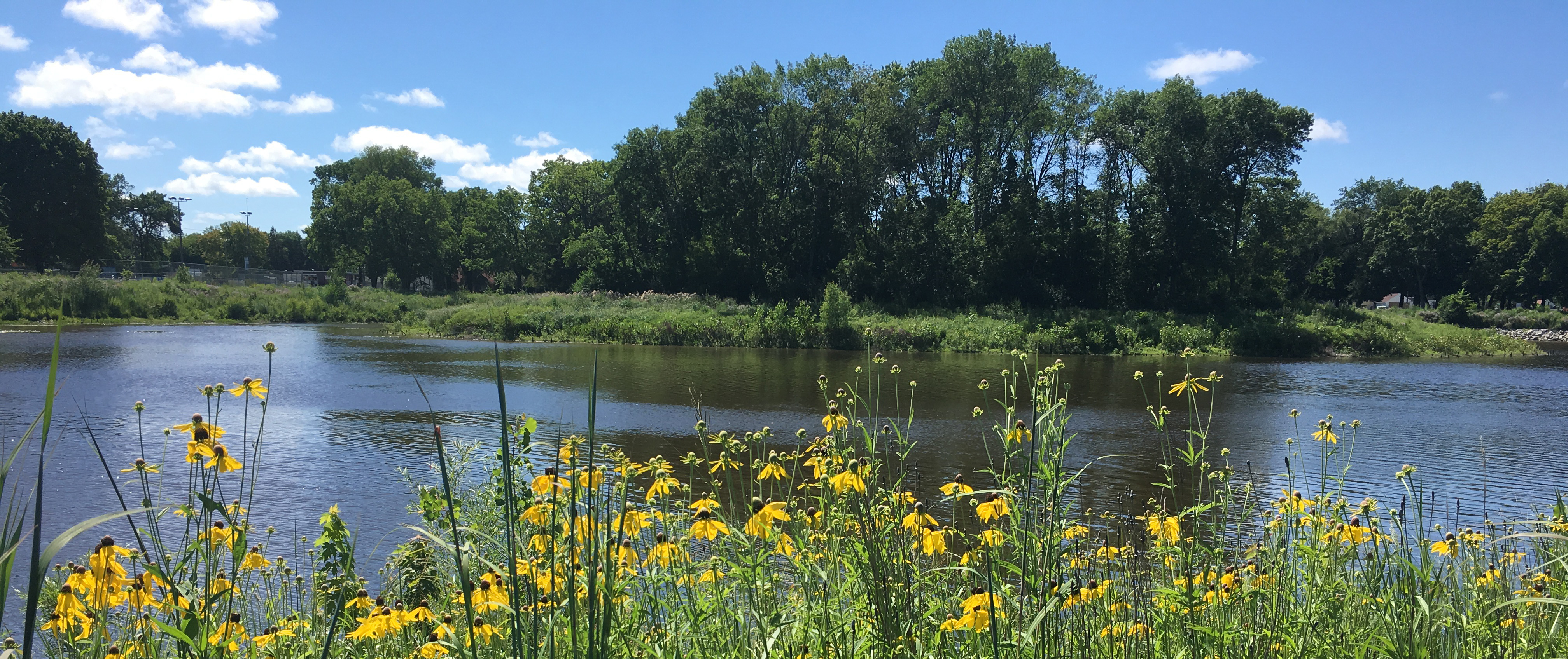 photo of an aoc with water and native plants