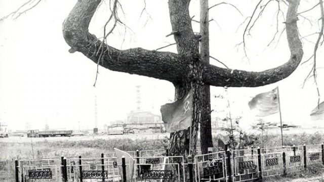 Environment 6