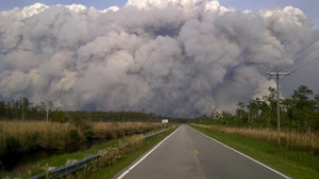 Smoke from a wildfire