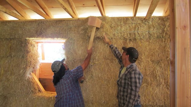 Workers in wood framed building interior with straw bale covered wall use a large wooden mallet to force additional hay into the last open space on the wall.