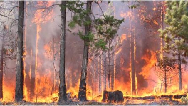 Link to learn about wildland fires in CMAQ