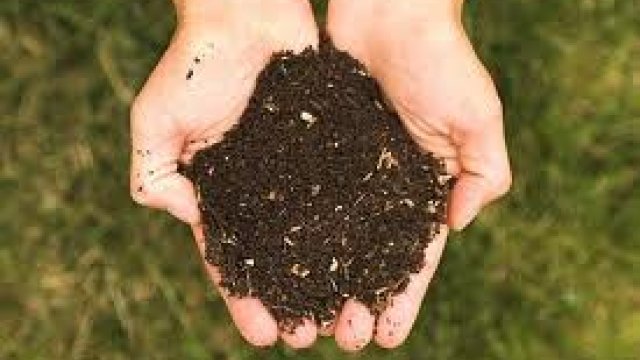 soil in hands