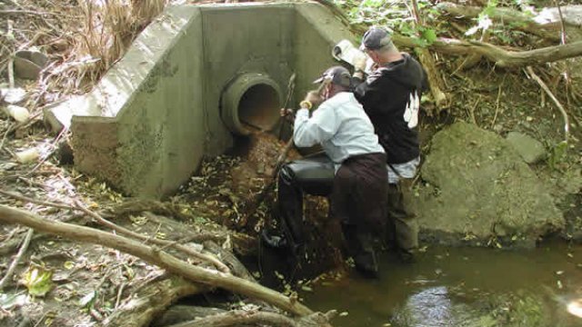 Volunteers at storm water outfall.