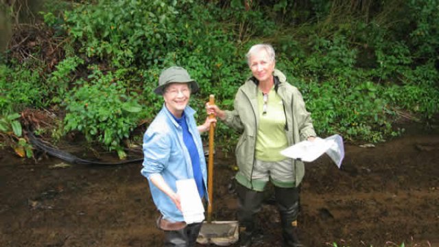 Volunteers collecting macroinvertebrates.