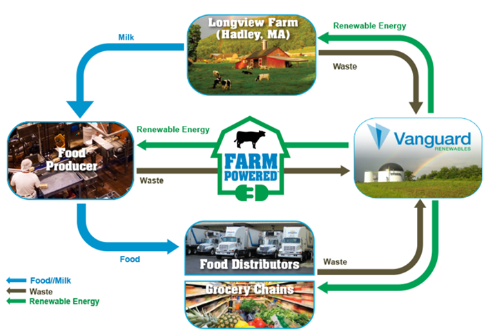 flowchart illustration