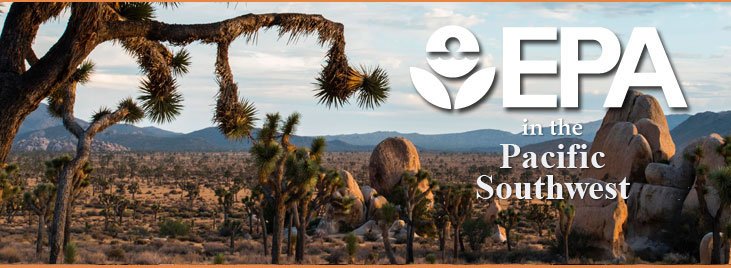 Desert landscape with rock outcrops and contorted Joshua trees