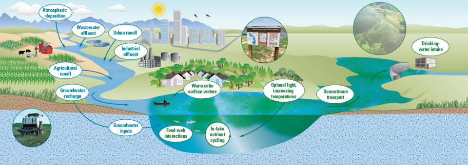 Nutrient inputs from agricultural areas, urban areas, wastewater and industrial effluents, and atmospheric deposition contribute nutrients to streams, rivers, and lakes. Nutrients can also enter these waters through the groundwater, an often overlooked source of nutrients.