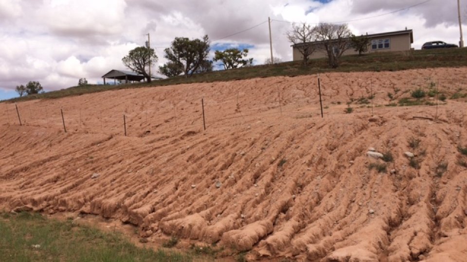 Steep slope showing signs of water erosion leading up to a home