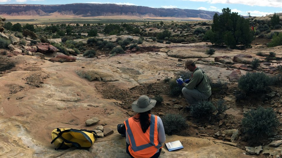 Cyprus Amax taking a surface soil sample at Monument No. 2 mine site in Cane Valley