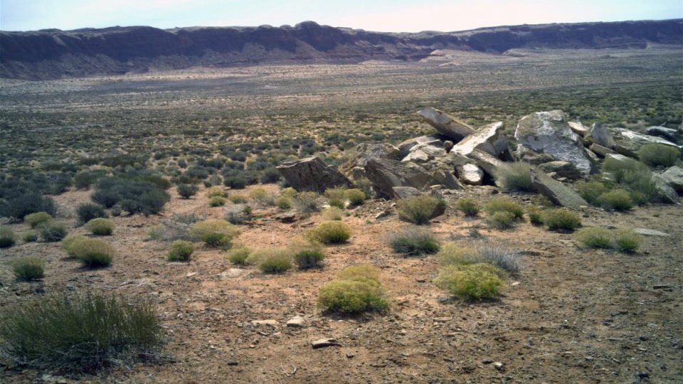 Desert landscape