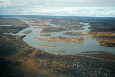 The millions of salmon that return to Lake Iliamna each year pass through this braided section of the Kvichak River.