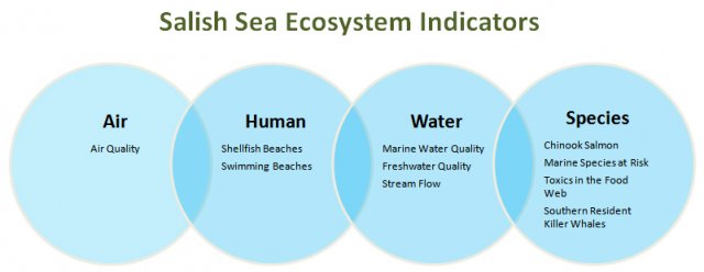 Venn diagram showing the connection among the ten ecosystem indictors being studied.