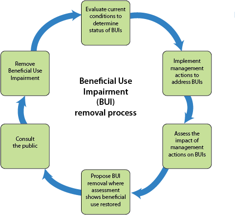 diagram showing steps toward removing beneficial use impairments