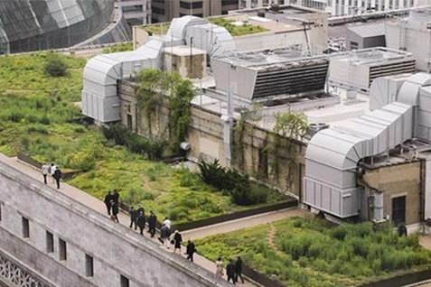 Chicago City Hall’s Green Roof