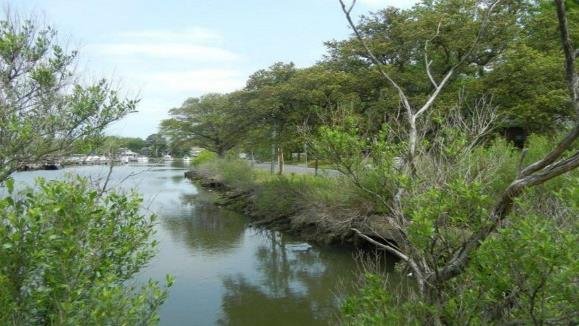 A picture of Knitting Mill Creek