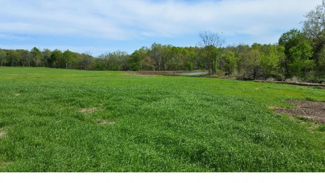 Tar Creek (Ottawa County)