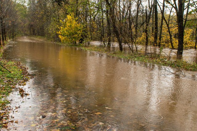 Flooded stream