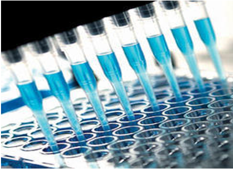 Bioassay-sample tray and pipette