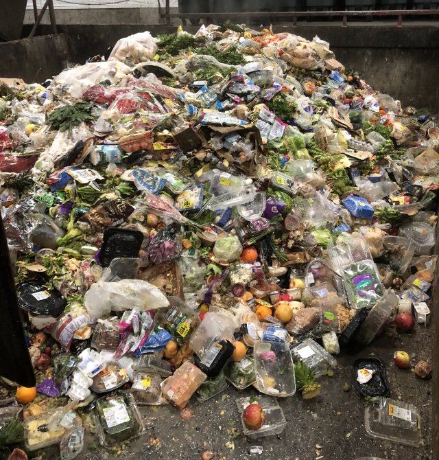 piles of food waste waiting to be sorted into the composter