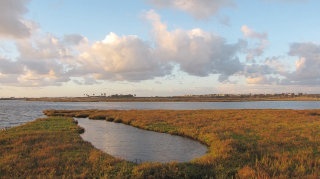 Overview of a coastal salt marsh