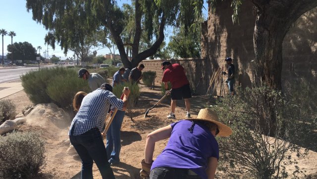 Tucson Volunteers