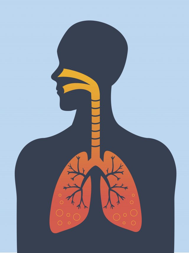 Air going into lungs