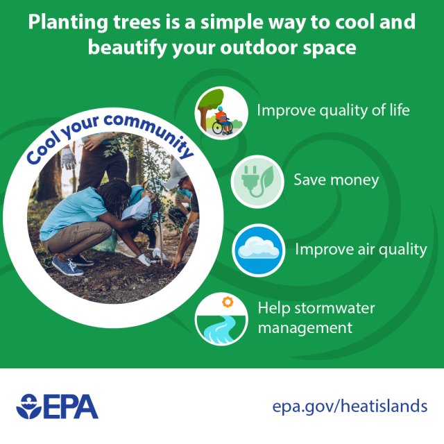 English Tree Planting Graphic