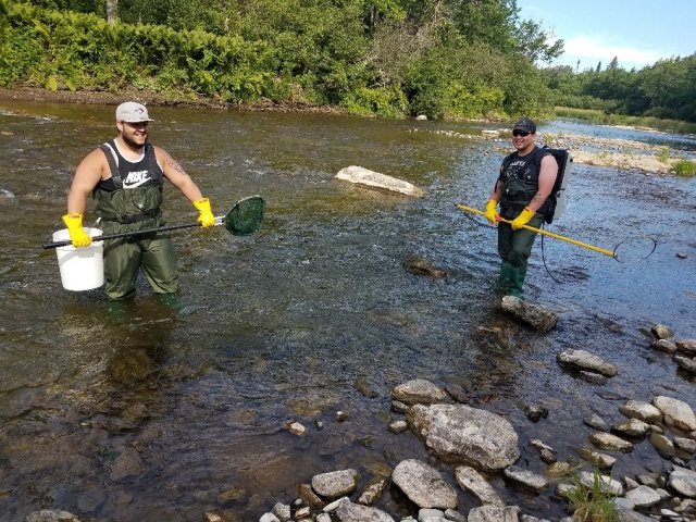 Damon Reynolds (left) and Sebastian Walton (right), Houlton Band of Maliseet tribal members, electrofishing in a tributary of the Wolastoq River.